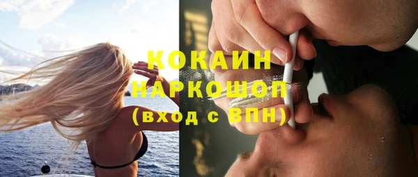 молекула духа Балахна