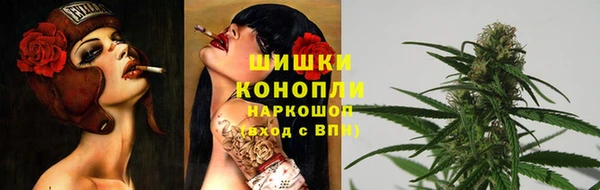 молекула духа Балахна