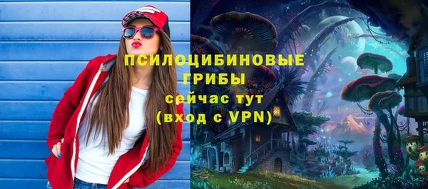 молекула духа Балахна