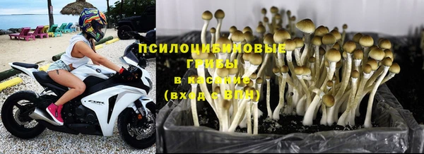 молекула духа Балахна
