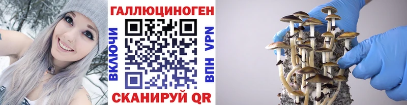Купить где  Среднеколымск  Галлюциногенные грибы Cubensis 